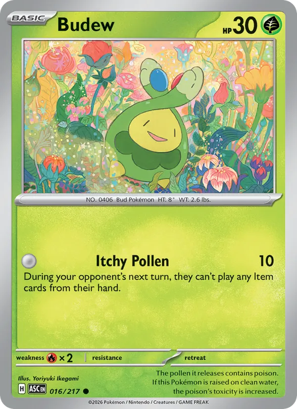 016 Budew – Ascended Heroes