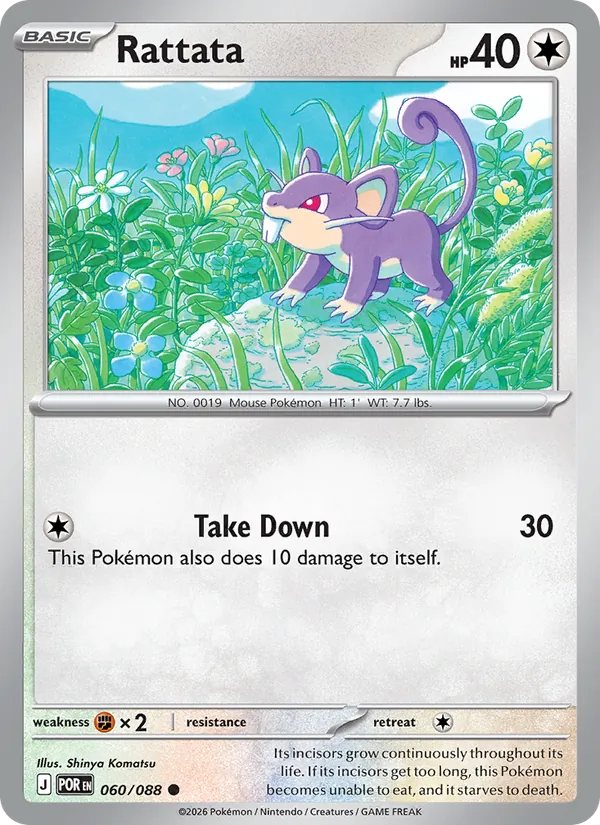 060 Rattata – Perfect Order