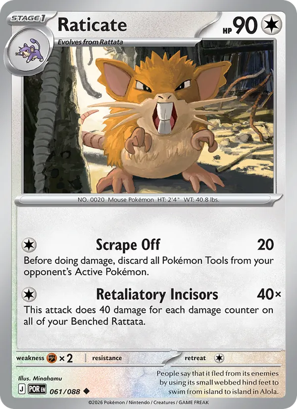 061 Raticate – Perfect Order