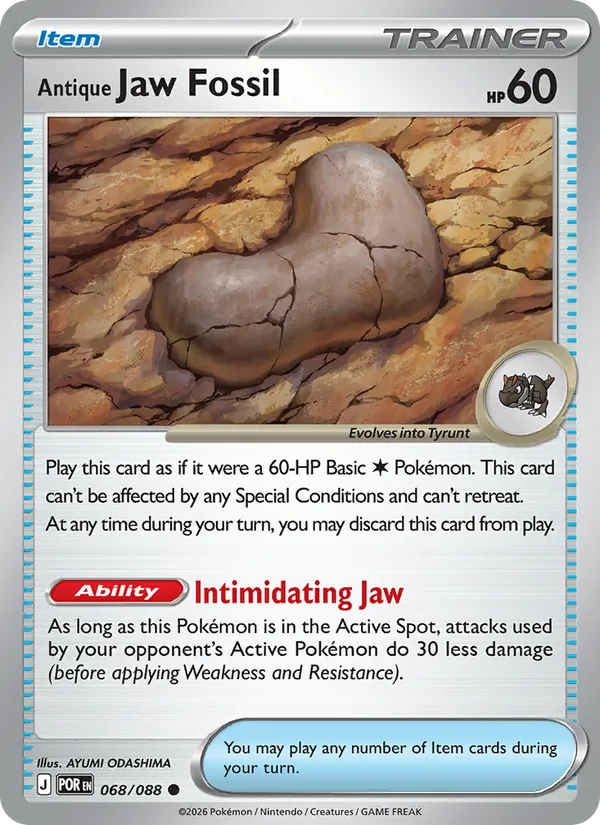 068-RH Antique Jaw Fossil – Perfect Order