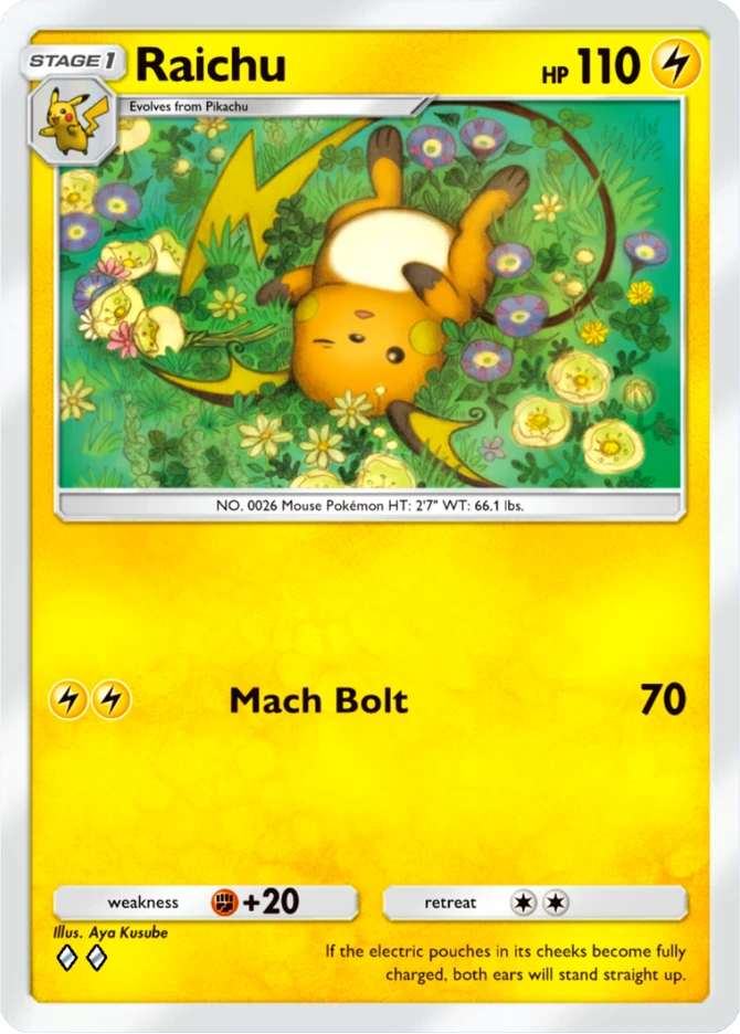 022 Raichu – Everyday Wonders