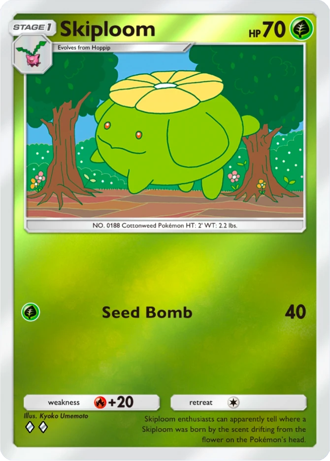 017 Skiploom – Deluxe Pack: ex