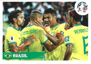 BRA2 Team – Copa America 2024 Panini