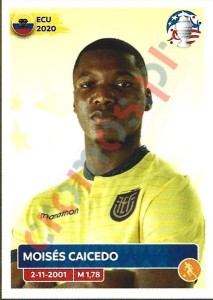 ECU13 Moisés Caicedo – Copa America 2024 Panini