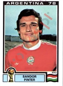 73 Sandor Pinter – FIFA World Cup Argentina 1978 Panini