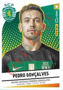 336 Pedro Gonçalves – Futebol 2024-2025 Panini