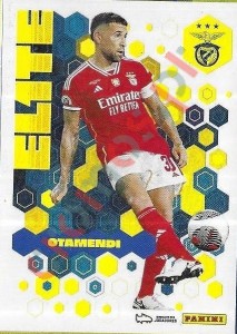 382 Nicolás Otamendi - Benfica – Futebol 2023-2024 Panini
