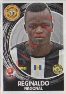 225 Reginaldo – Futebol 2014-2015 Panini