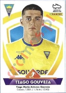 147 Tiago Gouveia – Futebol 2022-2023 Panini