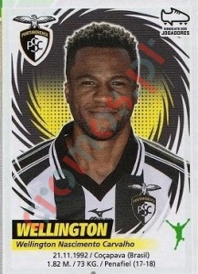 205 Wellington – Futebol 2018-2019 Panini
