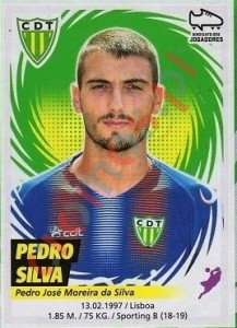 293 Pedro Silva – Futebol 2018-2019 Panini